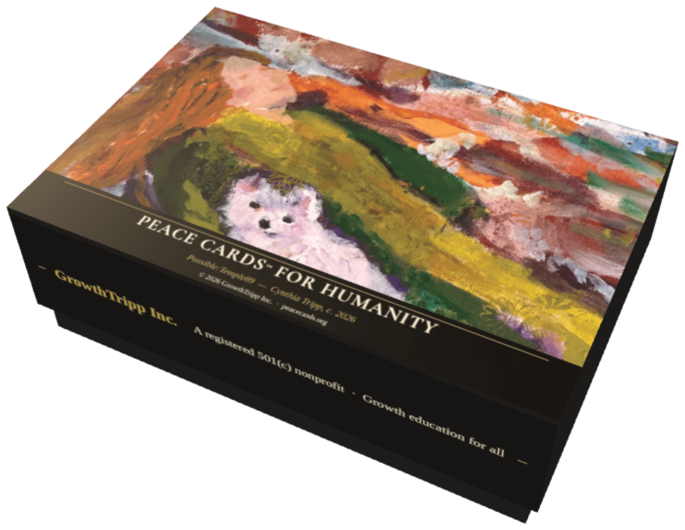 The Peace Cards™ for Humanity box